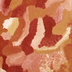 MB000899 - Emily Kame Kngwarreye