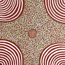 MB001811 - Ada Bird Petyarre