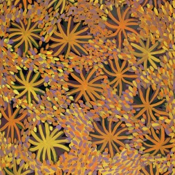 MB002649C - Gloria Tamerre Petyarre