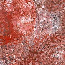 MB004298 - Emily Kame Kngwarreye