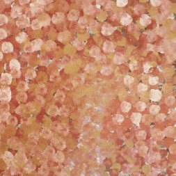 MB007549 - Emily Kame Kngwarreye