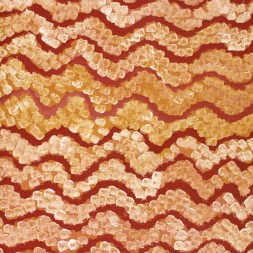 MB007735 - Emily Kame Kngwarreye