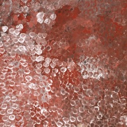 MB007737 - Emily Kame Kngwarreye
