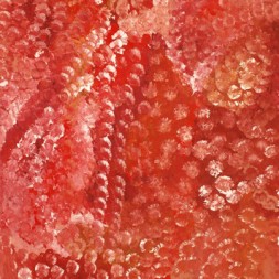 MB007740 - Emily Kame Kngwarreye