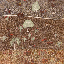 MB008496B - Ada Bird Petyarre