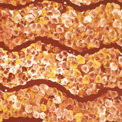 MB009074 - Emily Kame Kngwarreye