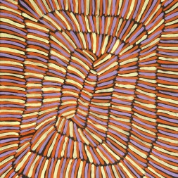 MB009300 - Violet Petyarre