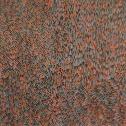 MB009423C - Gloria Tamerre Petyarre