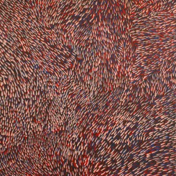 MB009424C - Gloria Tamerre Petyarre