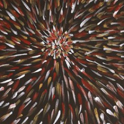 MB009505 - Jean Petyarre