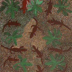 MB009506 - Mary Morton Kemarre