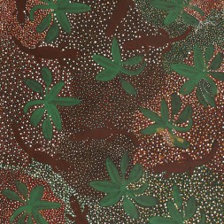 MB009507 - Mary Morton Kemarre
