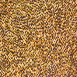 MB009912 - Gloria Tamerre Petyarre