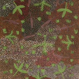 MB009964 - Mary Morton Kemarre