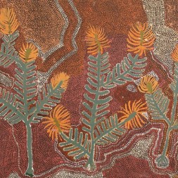 MB011764 - Weida Kngwarreye