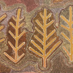 MB011765 - Weida Kngwarreye