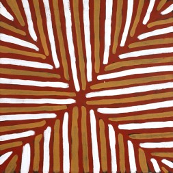 MB011833 - Gloria Tamerre Petyarre