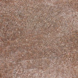 MB012191 - Greeny Purvis Petyarre