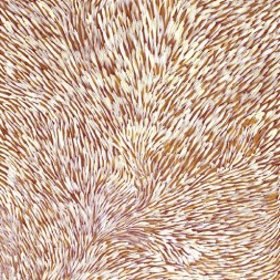 MB012261 - Gloria Tamerre Petyarre