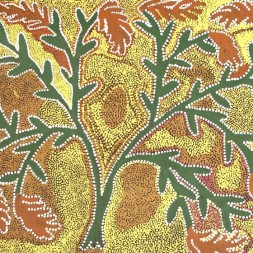 MB013125 - Weida Kngwarreye