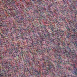 MB013157 - Gloria Mills Petyarre