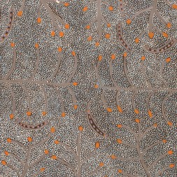 MB013550 - Ada Bird Petyarre