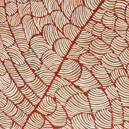 MB013828 - Nancy Kunoth Petyarre