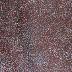 MB016414 - Rosie Kunoth Kngwarreye