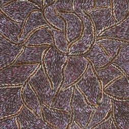 MB018157 - Jennifer Purvis Kngwarreye