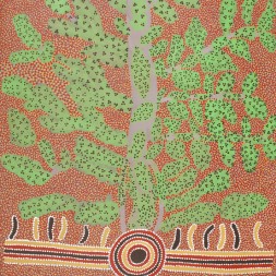 MB020343 - Lindsay Bird Mpetyane