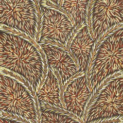 MB020431 - Rosemary Petyarre