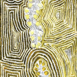 MB021254 - Mary Morton Kemarre