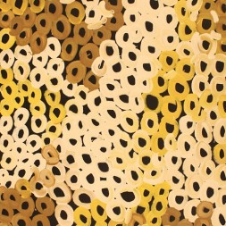 MB021714 - Minnie Pwerle