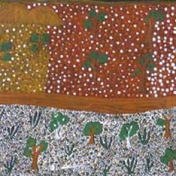 MB023899 - Colleen Lewis Kngwarreye