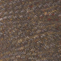 MB027981 - Dorothy Kunoth Kemarre