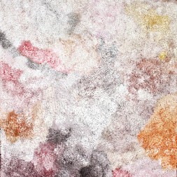 MB030421 - Janelle Stockman Napaltjarri