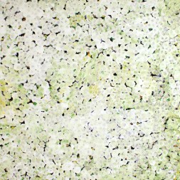 MB030724 - Kathleen Ngale