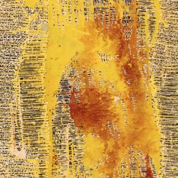 MB031395 - Janelle Stockman Napaltjarri