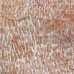 MB032102 - Judy Purvis Kngwarreye