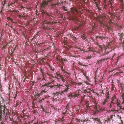 MB037243 - Janelle Stockman Napaltjarri