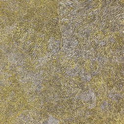 MB038520 - Joy Purvis Petyarre