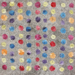 MB038652 - Sacha Long Petyarr