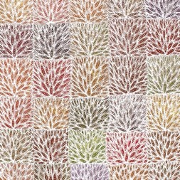 MB038661 - Lily Lion Kngwarrey