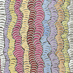 MB039258 - Violet Petyarre
