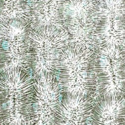 MB039937 - Loretta Jones Petyarre