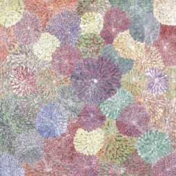 MB040877 - Sarah Morton Kngwarrey