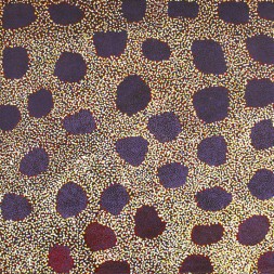 MB041841 - Glady Kemarre
