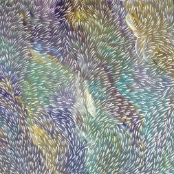 MB042662 - Gloria Tamerre Petyarre