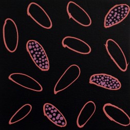 MB043042 - Janelle Stockman Napaltjarri