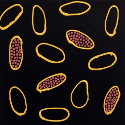 MB043043 - Janelle Stockman Napaltjarri